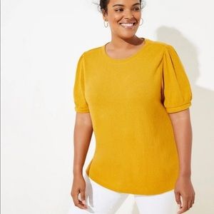 Loft Plus Textured Puff Sleeve Tee in Aztec Gold